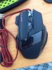 mouse.jpg