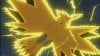 zapdos[1].jpg