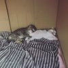 upload_2019-9-26_21-48-35.jpeg