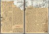 Ninja3-4_resize.jpg