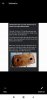 FB_IMG_1613715481084.jpg