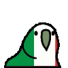 2169_italyparrot.gif