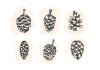 free-unique-pine-cones-vectors.jpg