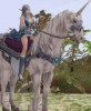 elf-ride1.png