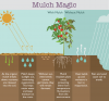 mulch-magic.png