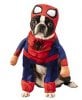 200264-WALKING-SPIDERMAN-scaled.jpg