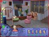 Sims2_6.JPG