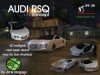 sa28_audi_rsq.jpg