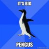 its-big-pengus.jpg