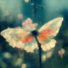 Kinas_garden_flower_dreamy_cloud_sunshine_butterfly_wind_4k_dfa97a8c-315e-47b3-87c4-e2cc5360049d.png