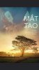 Mat tao.jpg