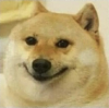 doge.png