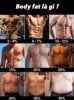 body-fat-la-gi-cong-cu-tinh-body-fat-nhu-the-nao.jpg