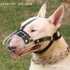 fixed-bull-terrier-wire-muzzle.jpg