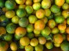 citrus-regreening-bigstock-92168057-1424x1080px-RESIZE.jpg