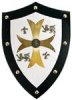 6874.badge5.jpg