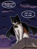 isaac-bergmann-2019-11-02-batcat.jpg