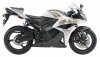 Honda CBR600RR 09 Phoenix.jpg