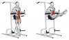 29631101-Captains-Chair-Straight-Leg-Raise_Waist_small.jpg