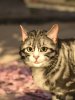 upload_2025-4-18_1-9-9.jpeg