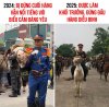 IMG_6295.jpeg