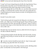 upload_2025-4-24_9-14-6.png