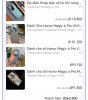 Screenshot_20250427_184019_com_android_chrome_ChromeTabbedActivity~01~01.jpg