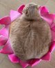 IMG_6721.jpeg