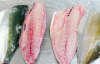 upload_2025-5-11_12-44-28.png