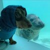 IMG_6837.jpeg