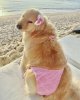 IMG_6846.jpeg