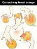 upload_2025-5-15_12-8-29.jpeg