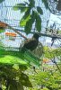 20250518_095533.jpg