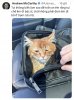 IMG_3202.jpeg