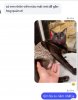 IMG_7165.jpeg