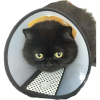 upload_2025-5-28_1-55-28.png