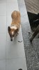 Messenger_creation_AE798CF6-6D38-4EE4-93D2-C45D92E58706.jpeg