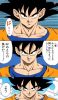 upload_2025-5-31_16-32-33.png