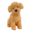 toy-poodle_thl.jpg