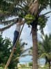 IMG_1303.jpeg