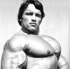 arnold-chest.jpg