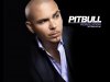 Pitbull_Nazanin-pitbull-rapper-29743731-1024-768.jpg