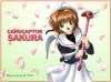 sakura1.1.jpg