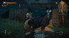 witcher3 2015-05-28 19-46-24-39.jpg