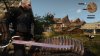 witcher3 6-27-2015 6-17-56 PM-890.jpg