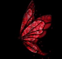 CrimsonButterfly