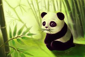 LittlePanda