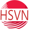 hsvnglobal